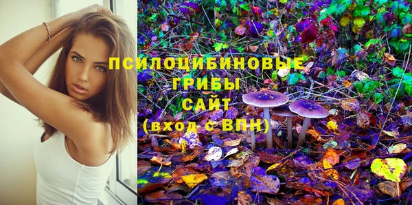 амфетамин Алексеевка