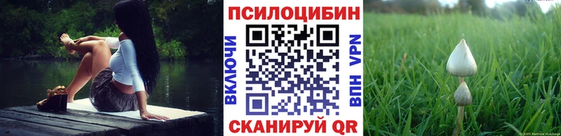 Купить где  Жигулёвск  Галлюциногенные грибы MAGIC MUSHROOMS 
